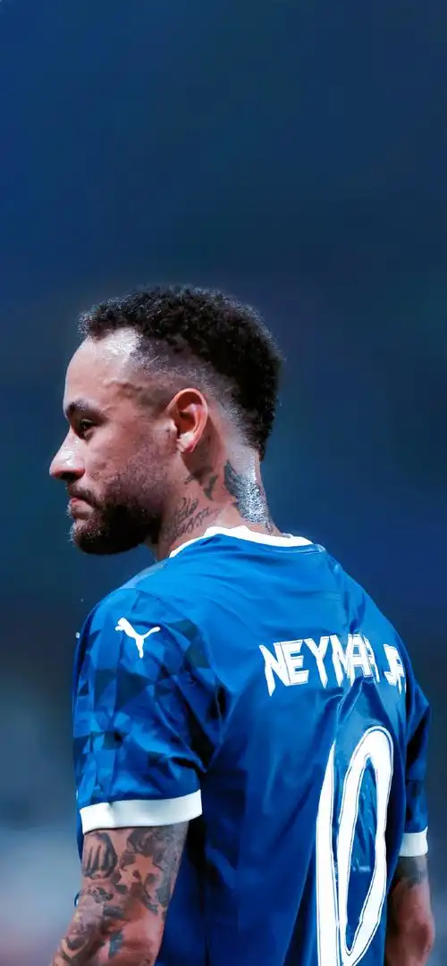 中的地位稳 中的地位稳